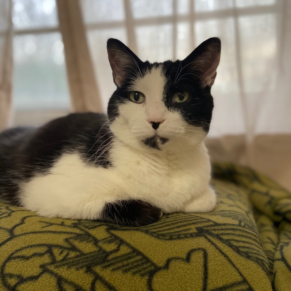 Meet your Posher, Heather